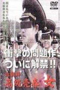 (七区)北朝鮮高級売春女